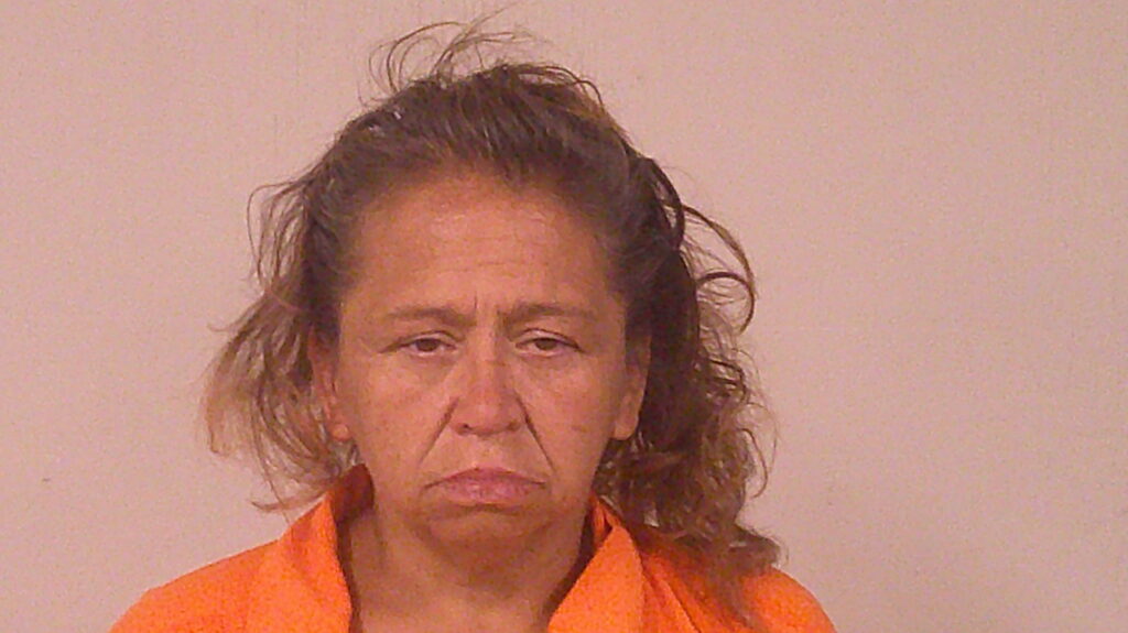 HERNANDEZ, MICHELLE ANN booking photo