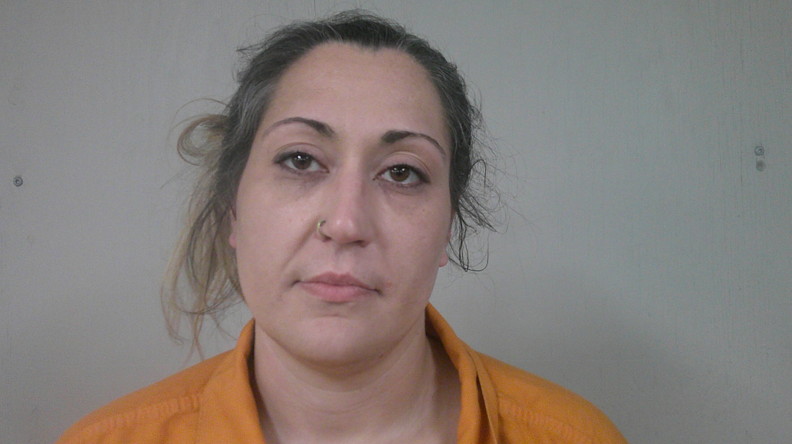 DOLLINGER-TIDEY, NASIA ISRAELA booking photo