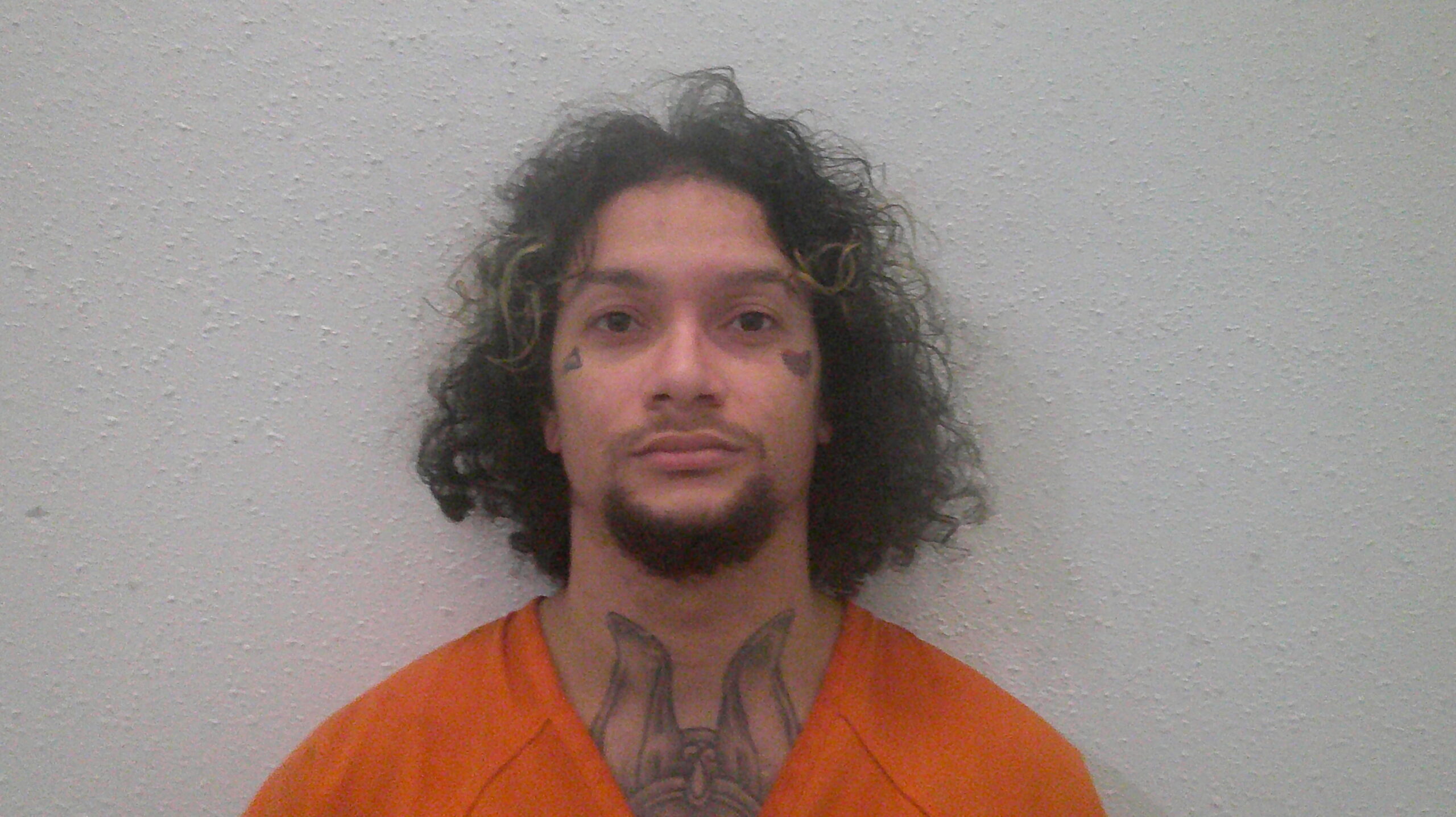 MOONEY, GENE ZANARD, Jr booking photo