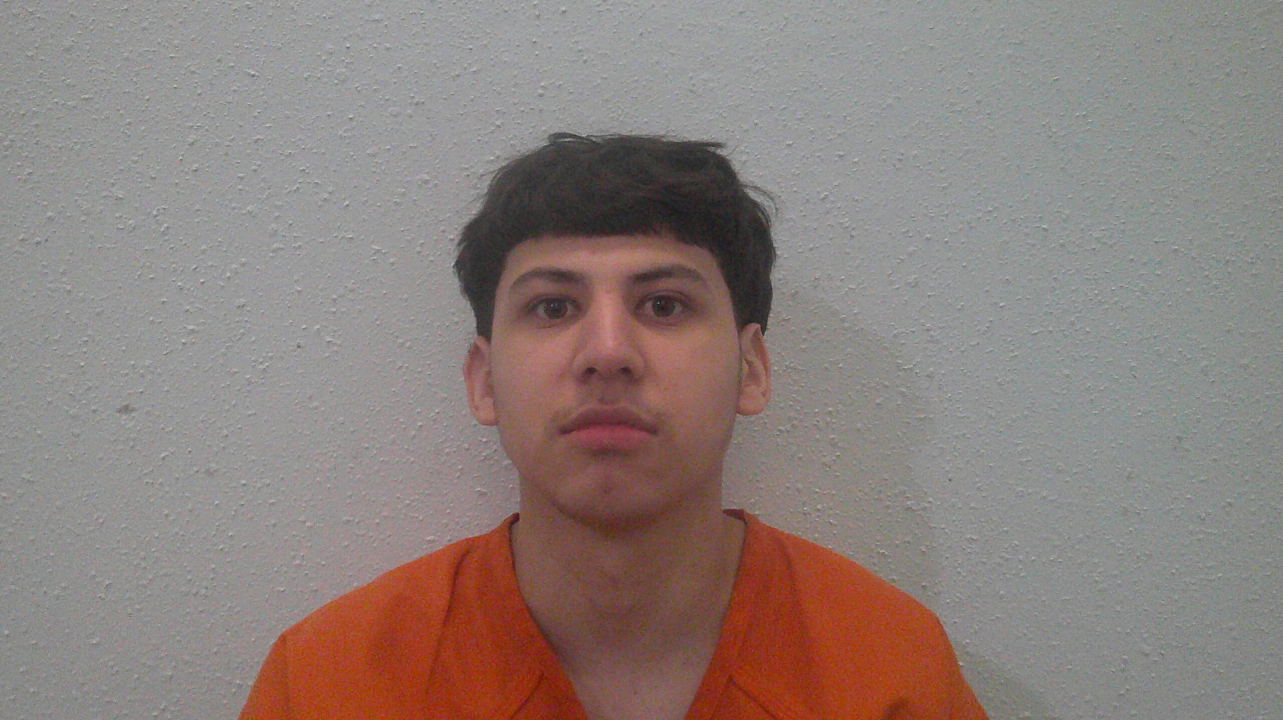ALEMAN, ANSELMO booking photo