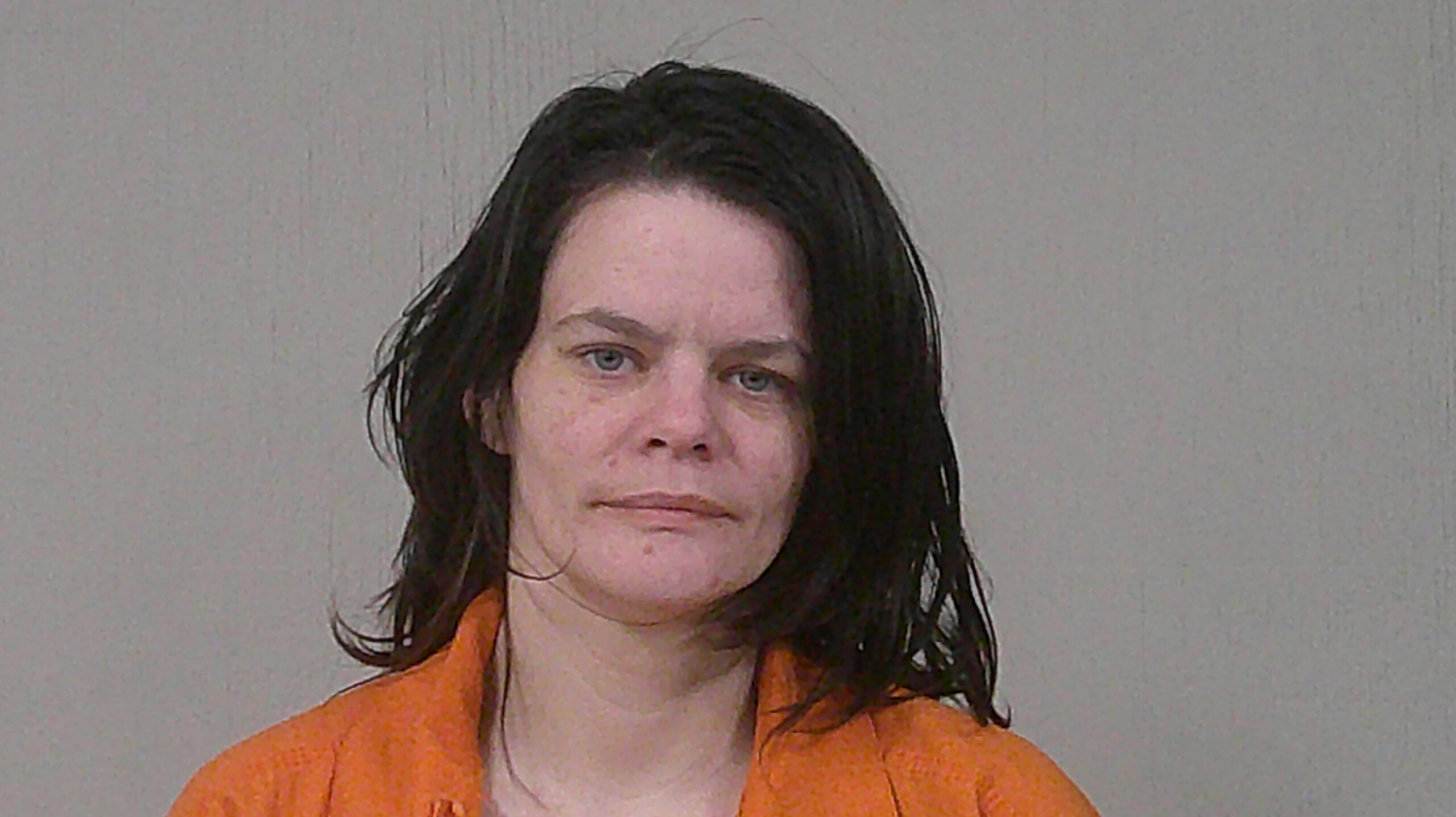 DOWNEY, MELINDA SUE arrested by Burnet County Sheriff’s Office