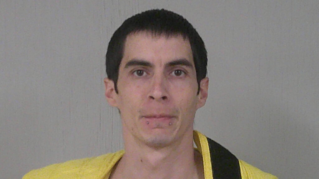 MITCHELL, KELLY ANDREW booking photo