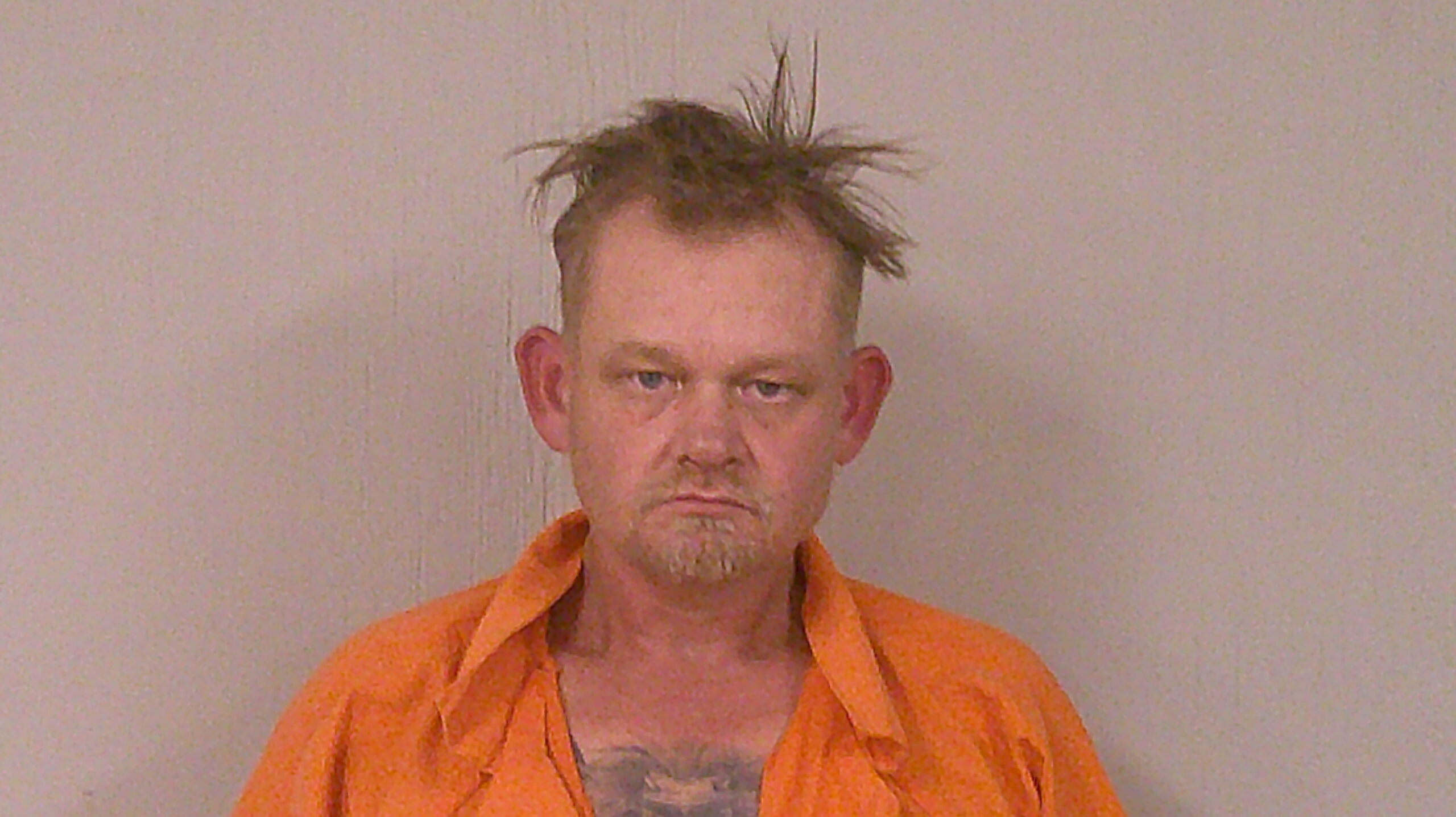BRABANDT, SHAWN ELVIN booking photo