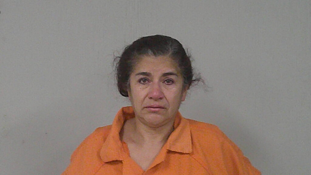 SUAREZ, THELMA VERONICA booking photo