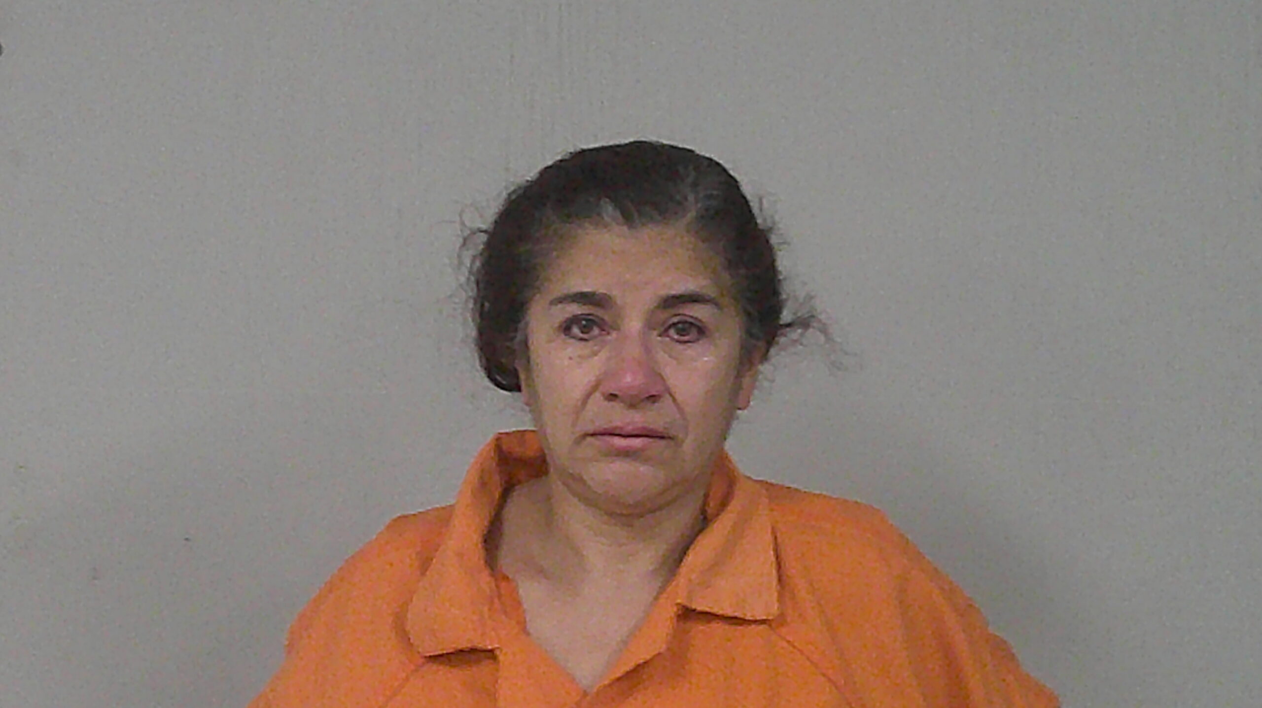 SUAREZ, THELMA VERONICA booking photo