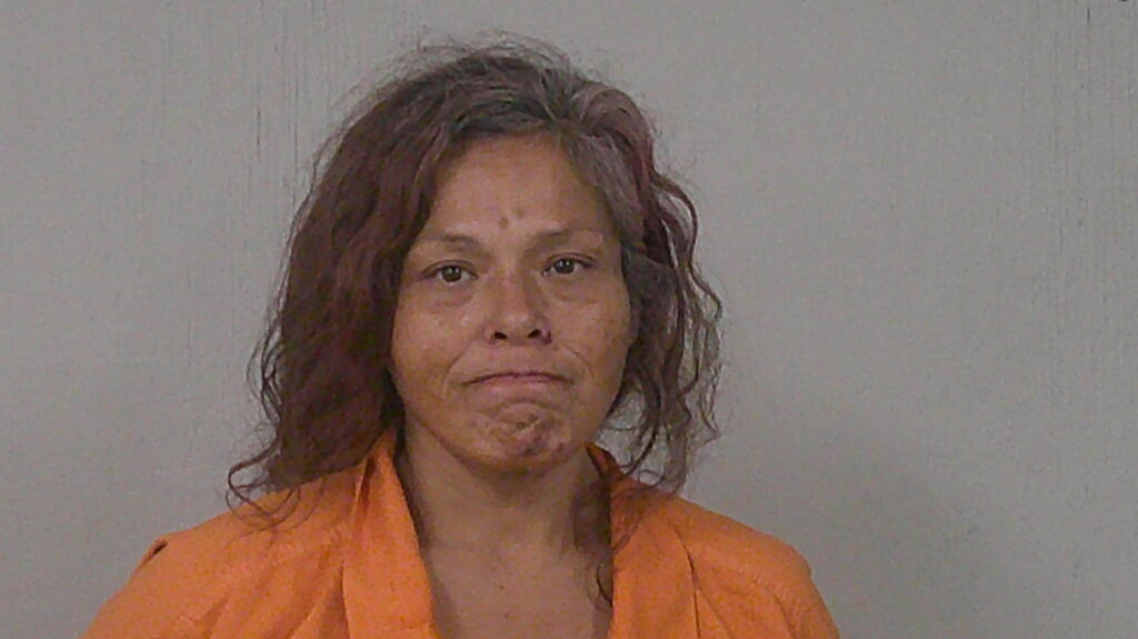 LERMA, ALICE MARIE booking photo