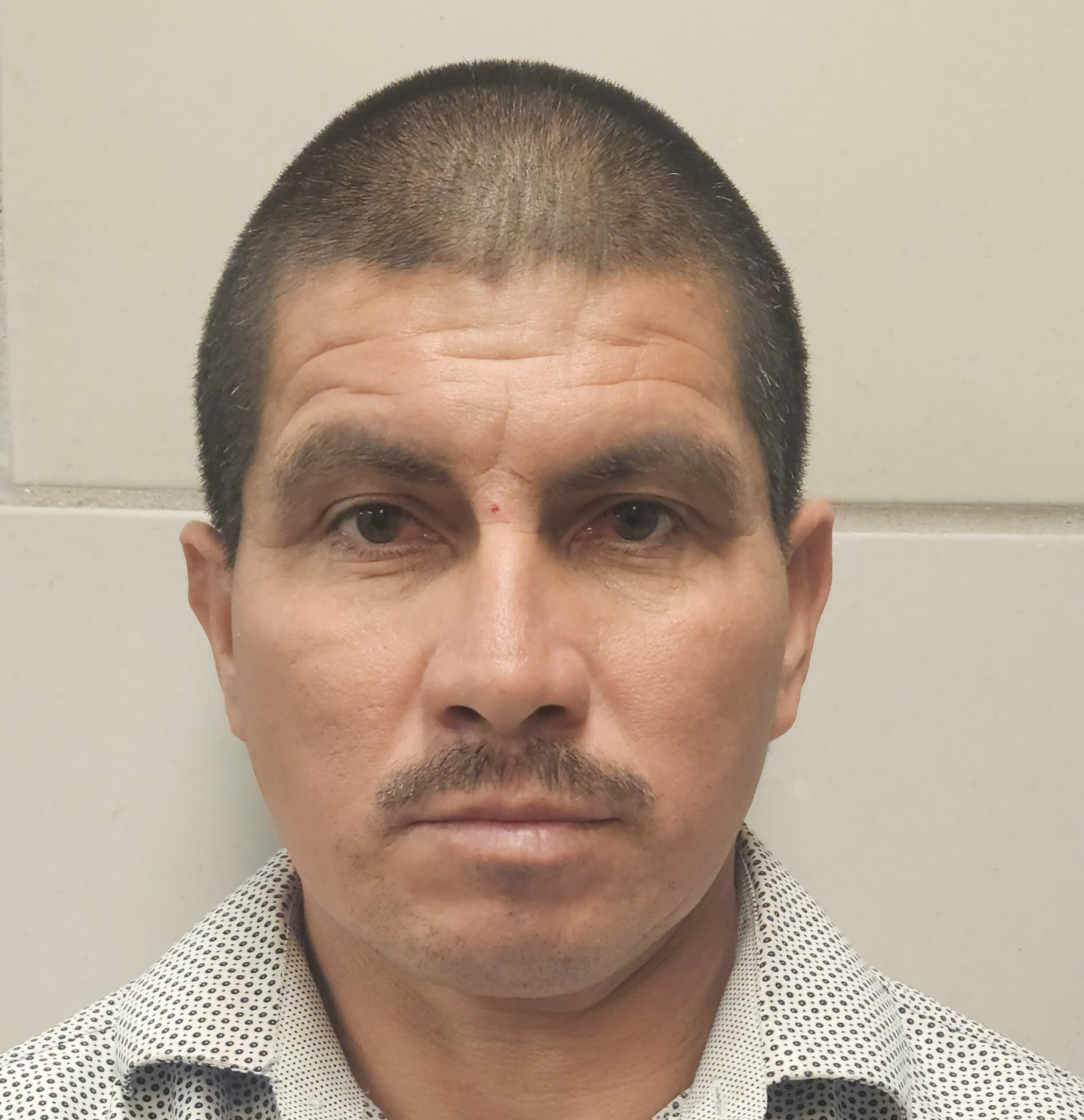 PEREZ-CASTILLO, JORGE booking photo