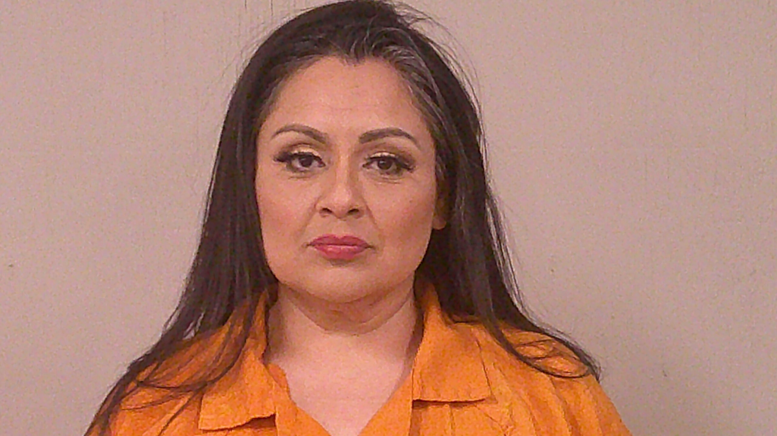 OZUNA, TERESA LYNN booking photo