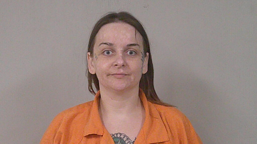 APOSTOLOVIC, HANNAH SIOBHAN booking photo