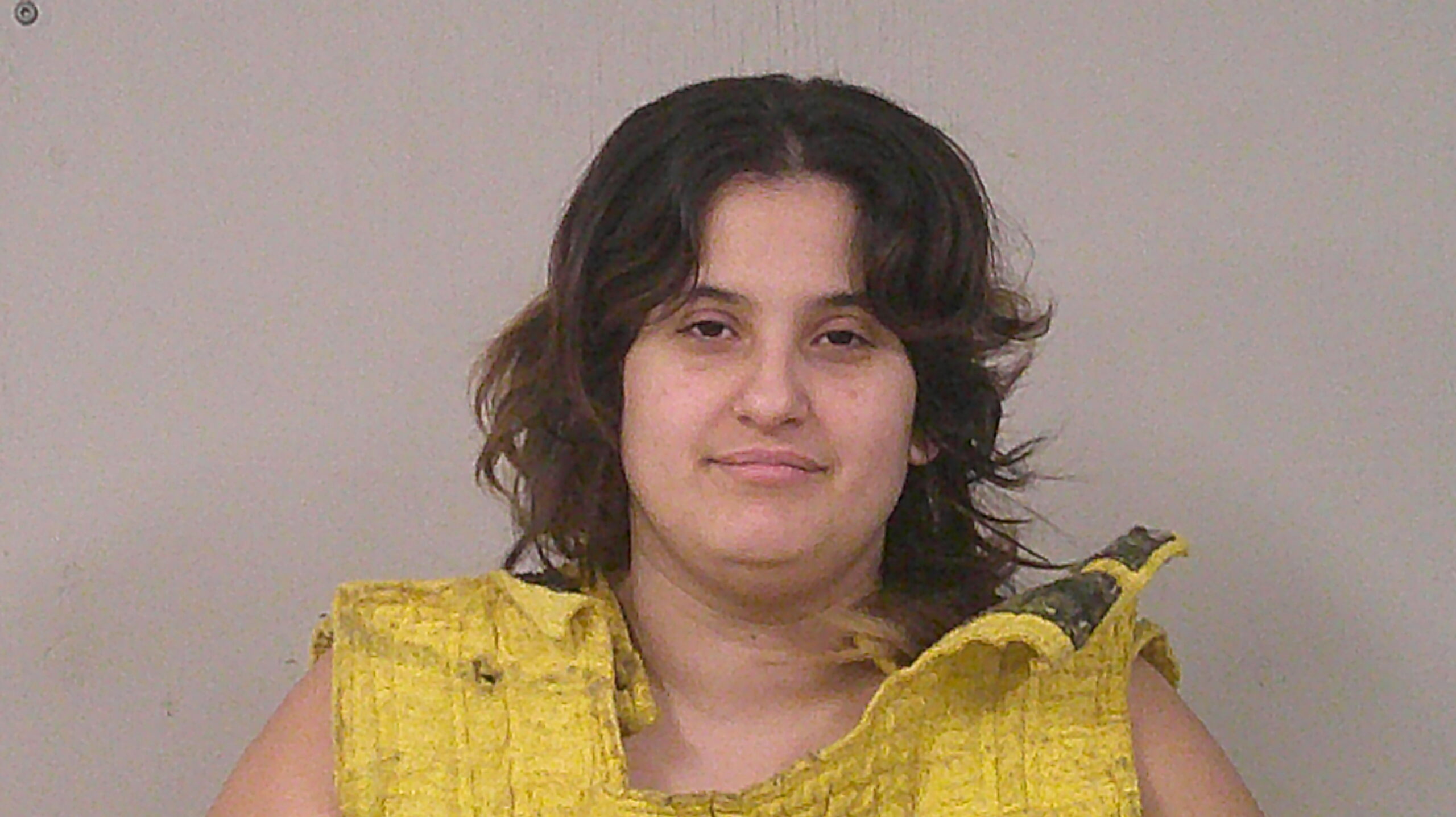 GONZALES, CHEYENNE NICOLE booking photo