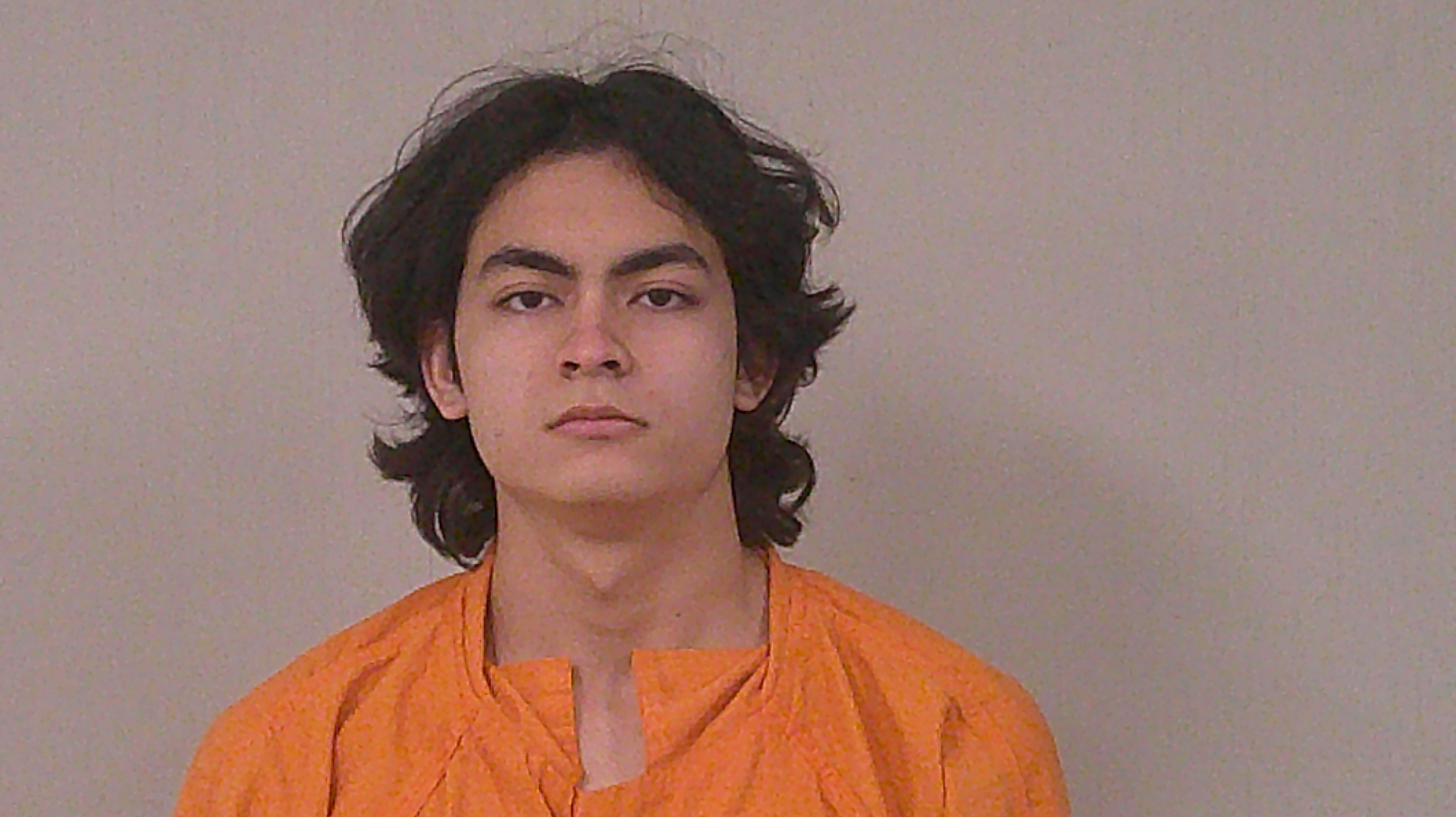 RINK, ALEX booking photo