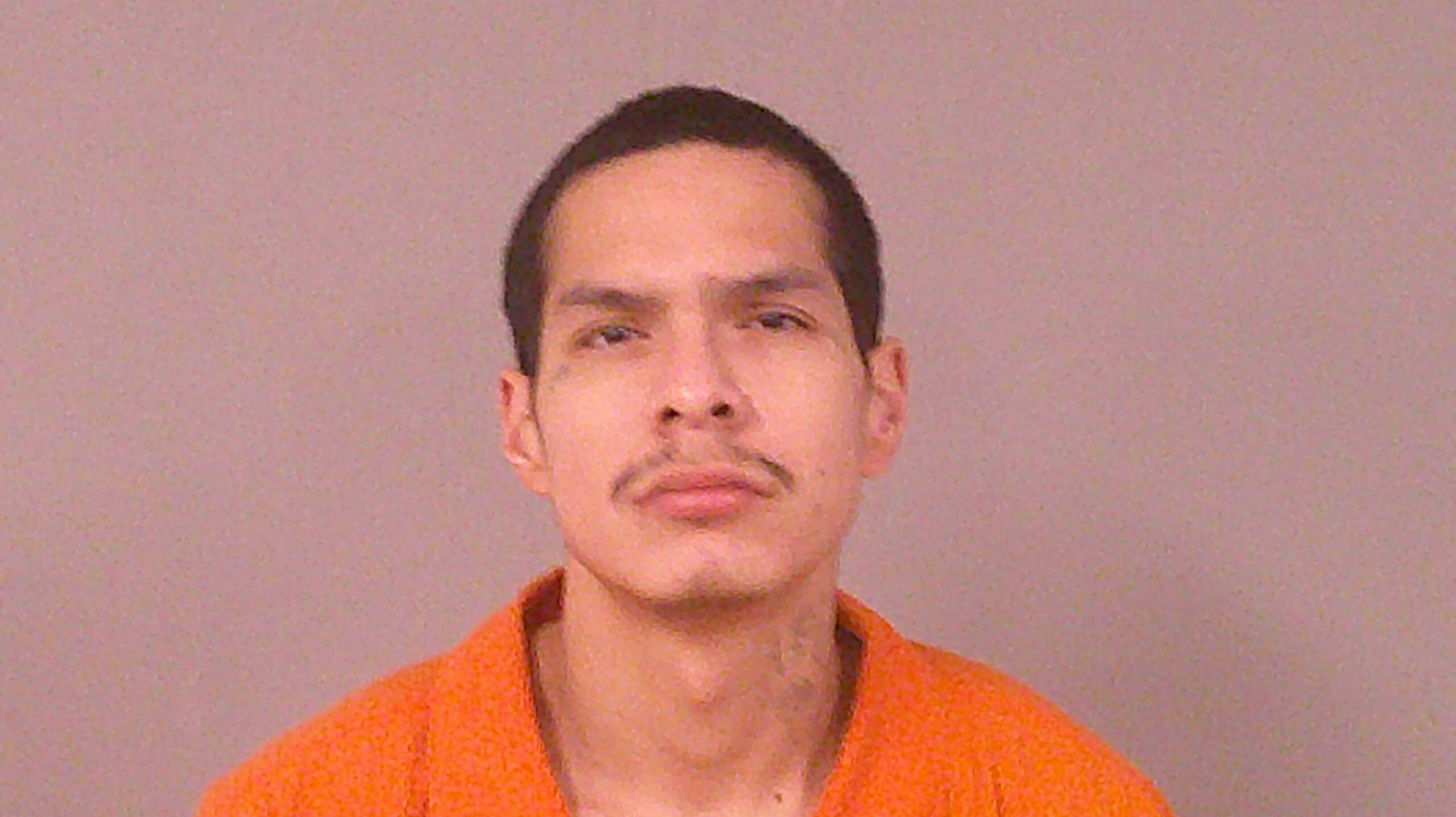 DELGADO, NICHOLAS BRAIN booking photo