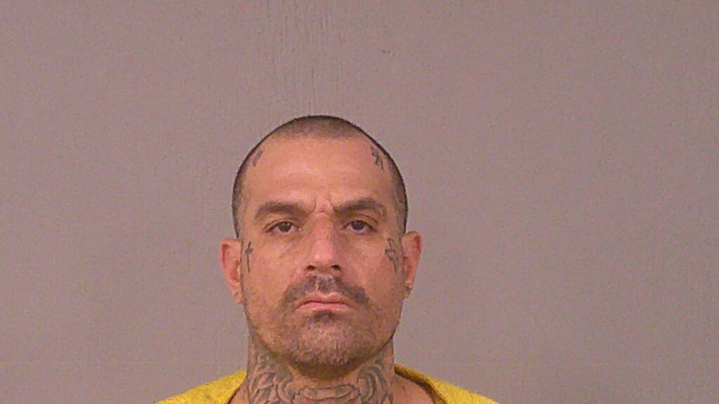 ARENAS, LUIS booking photo