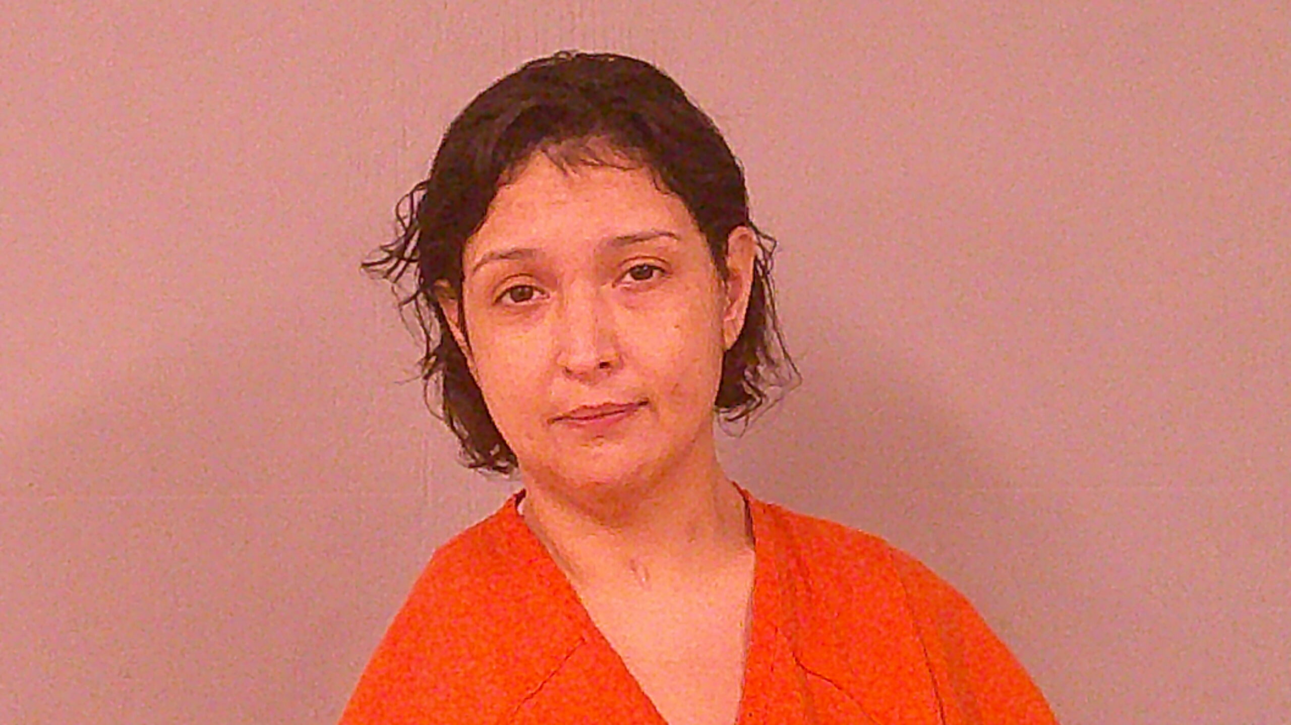 GUZMAN, HERLINDA EIMLLEA booking photo