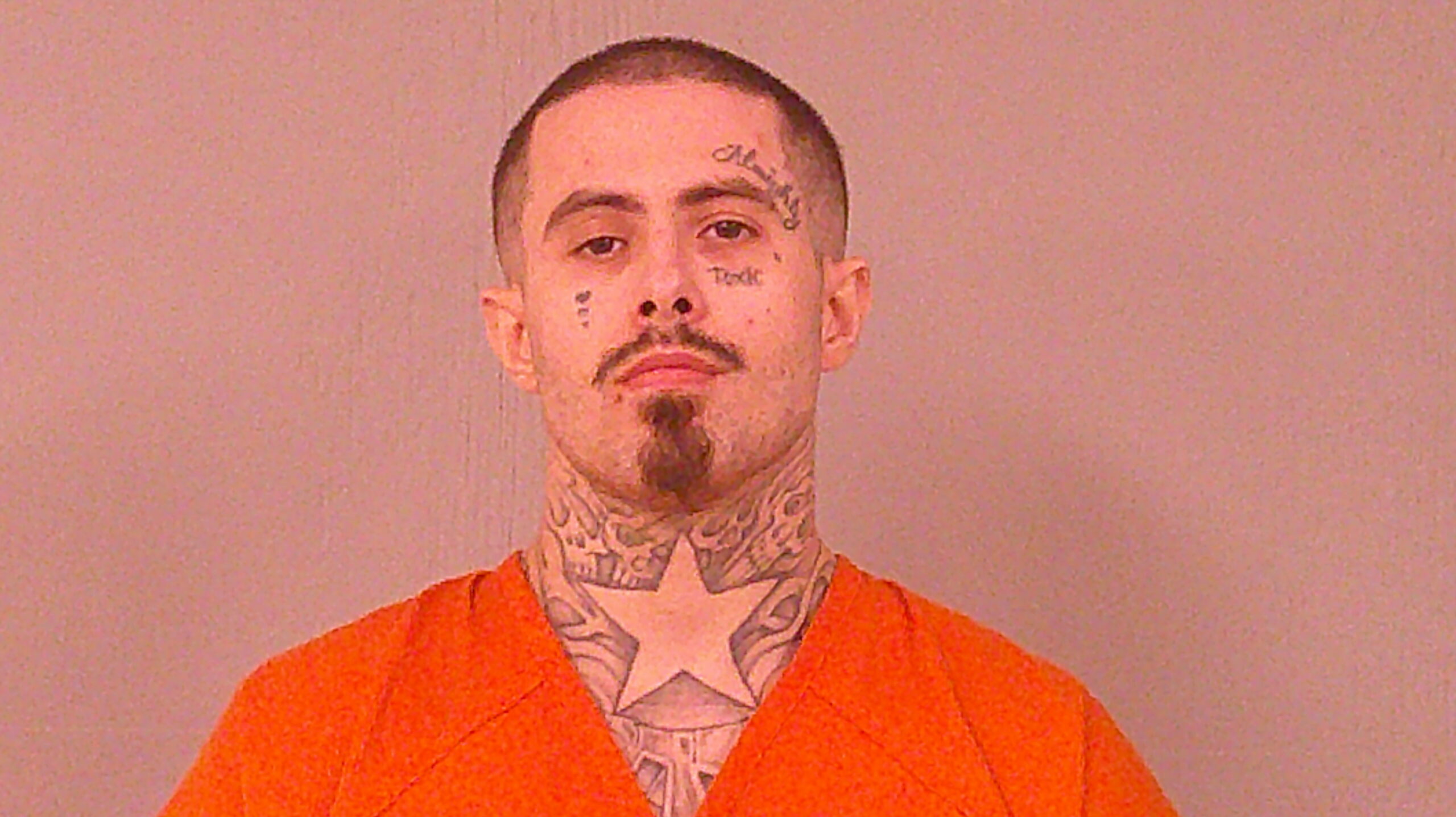 WADE, TAYLOR LEE booking photo