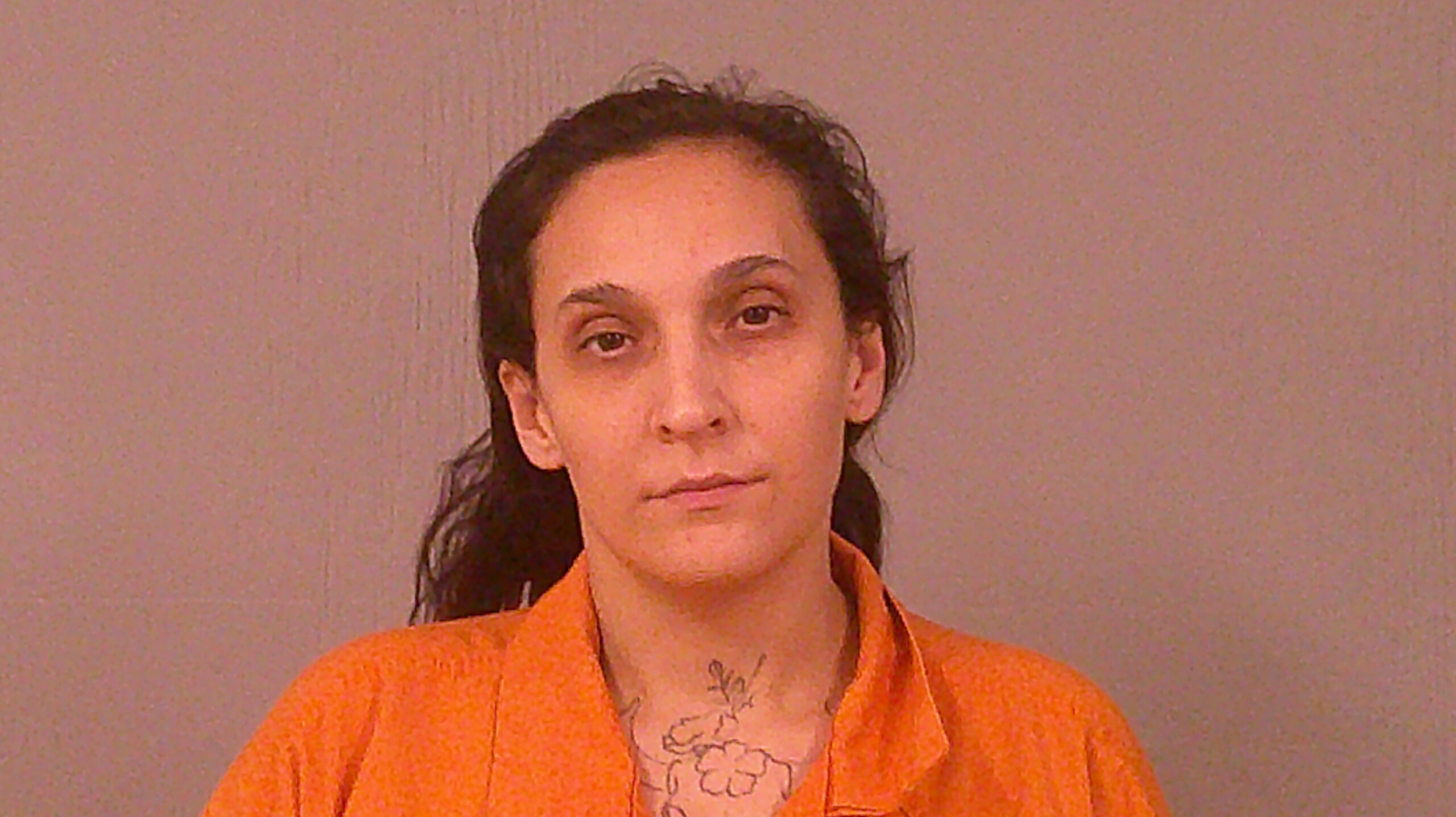 ORTIZ-SABOL, OLIVIA JO booking photo