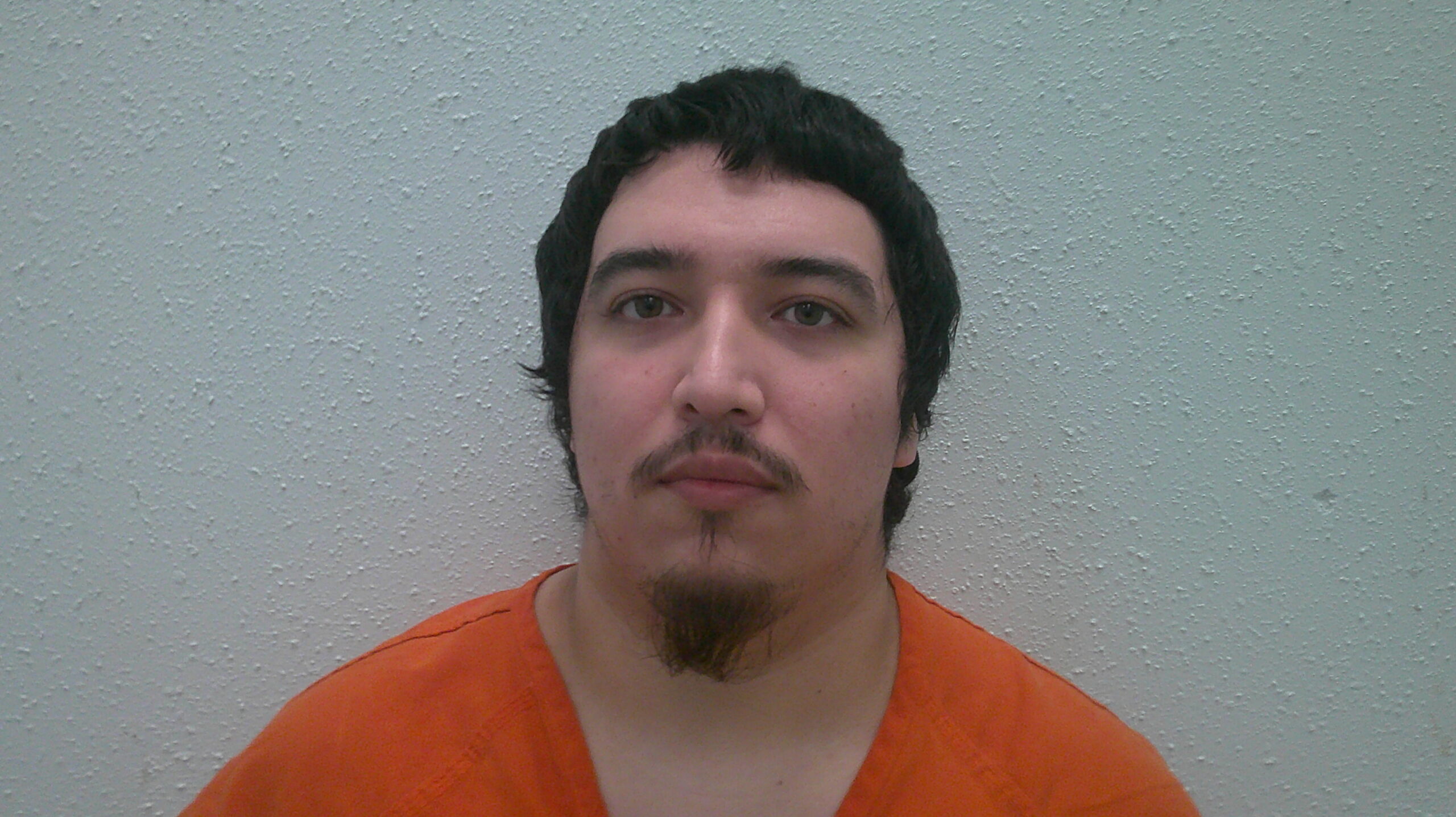 ELIZONDO, GEORGE ALBERT booking photo