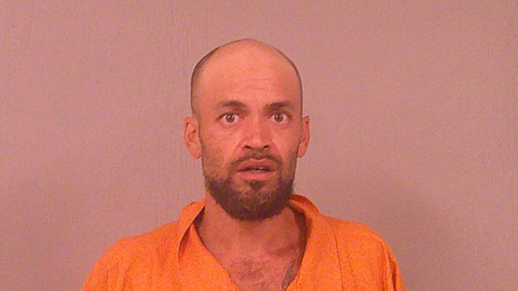 WILSON, JAMES VERNON booking photo