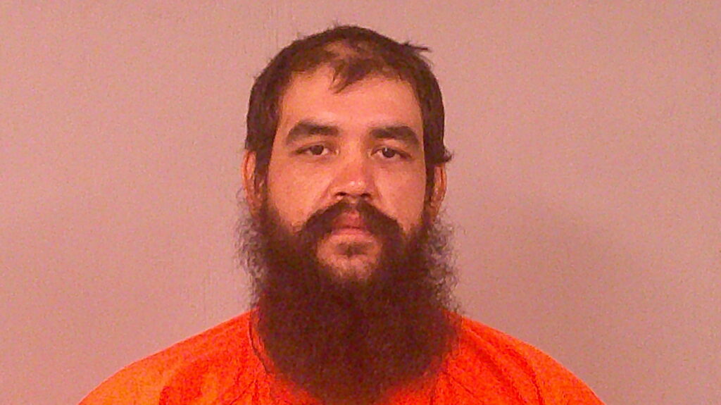 DENHAM, DAVID JORDAN booking photo