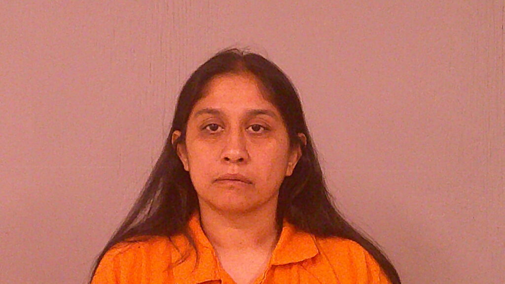 GARCIA, GINA MARIE booking photo