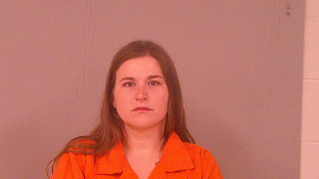 PHILLIPS, CHEYENNE NICOLE booking photo
