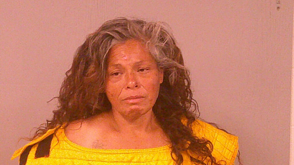 LERMA, ALICE MARIE booking photo