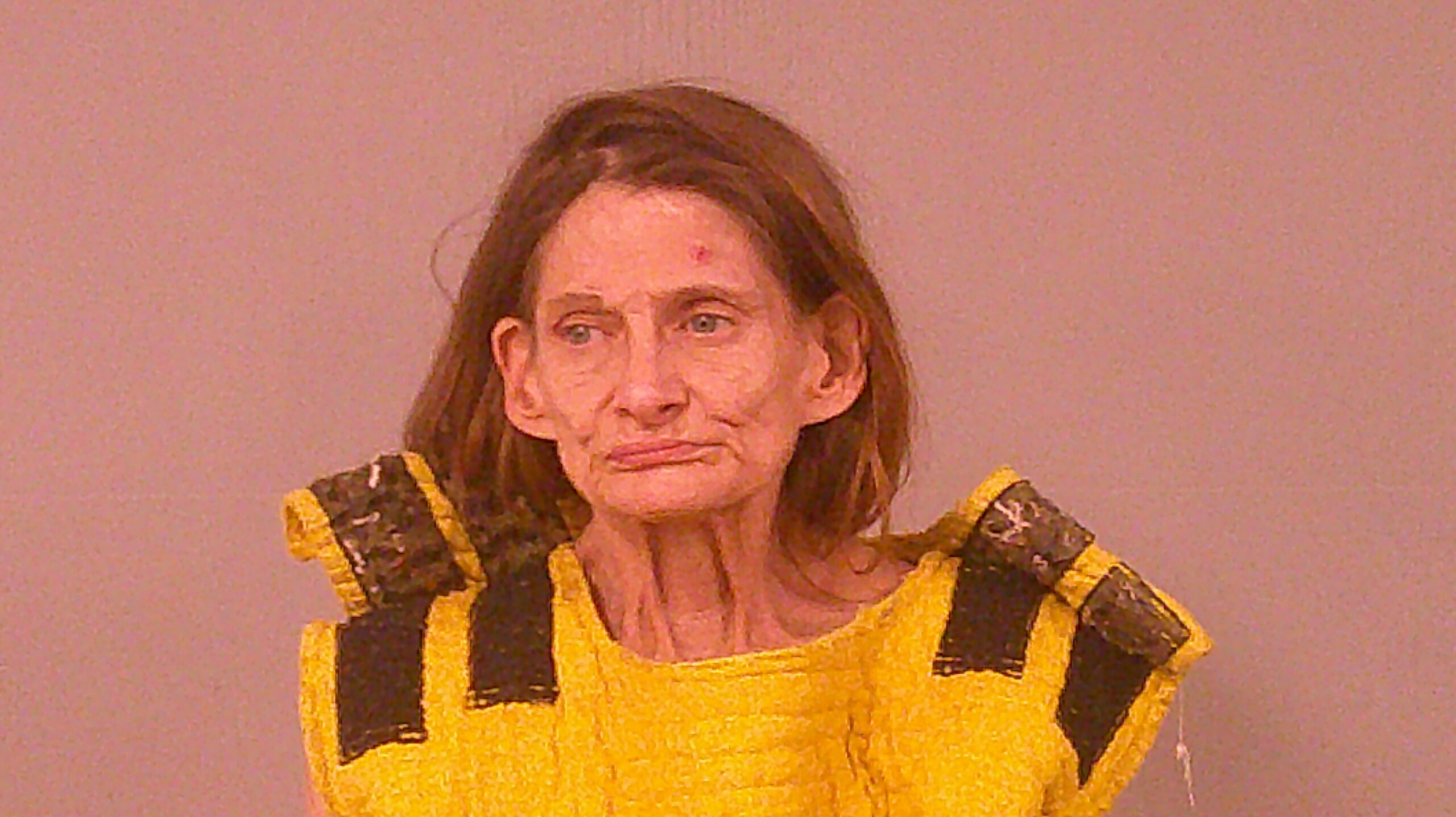 JESSUP, LINDA JO arrested by Burnet Police Department