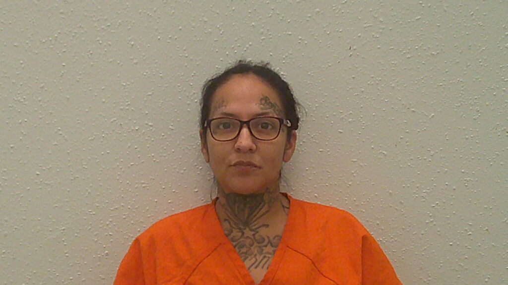 TRISTAN, LESLIE booking photo