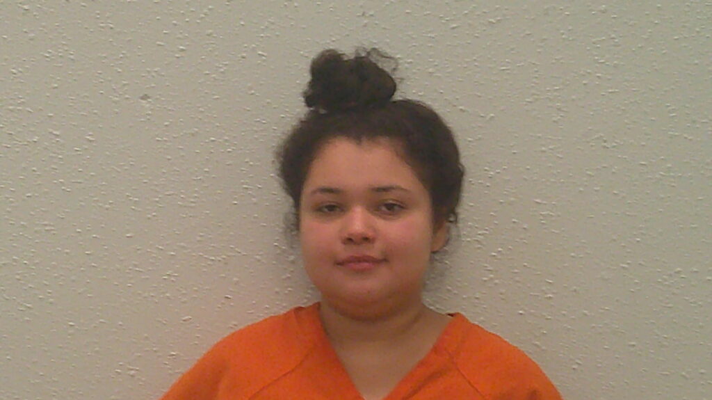 HERNANDEZ, JANNEY YESENIA booking photo