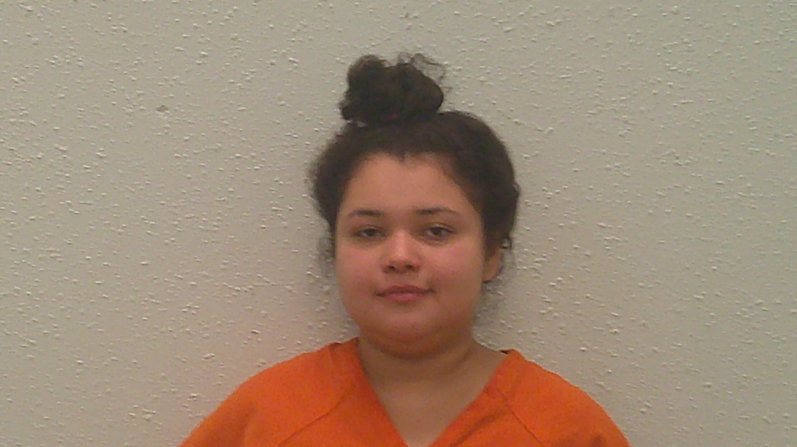 HERNANDEZ, JANNEY YESENIA booking photo