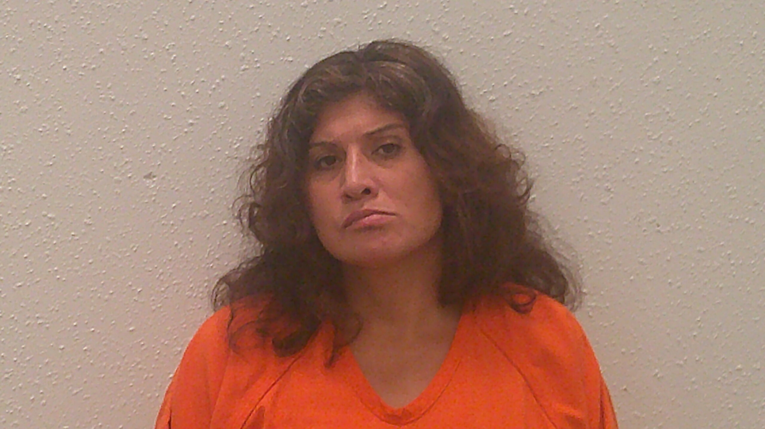 SALAS, REBECCA ANN booking photo