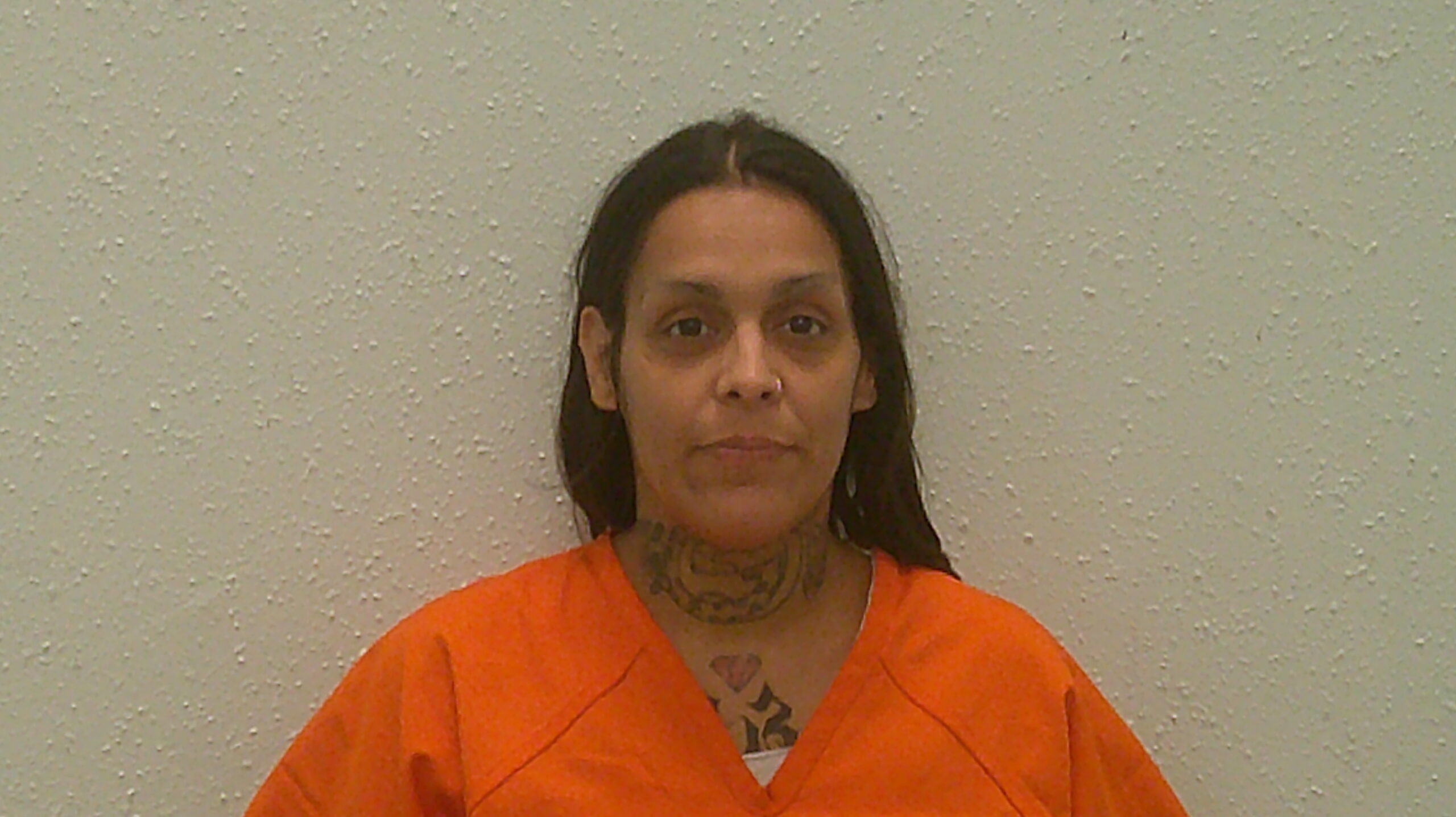 JIMENEZ, ERICA ANN booking photo