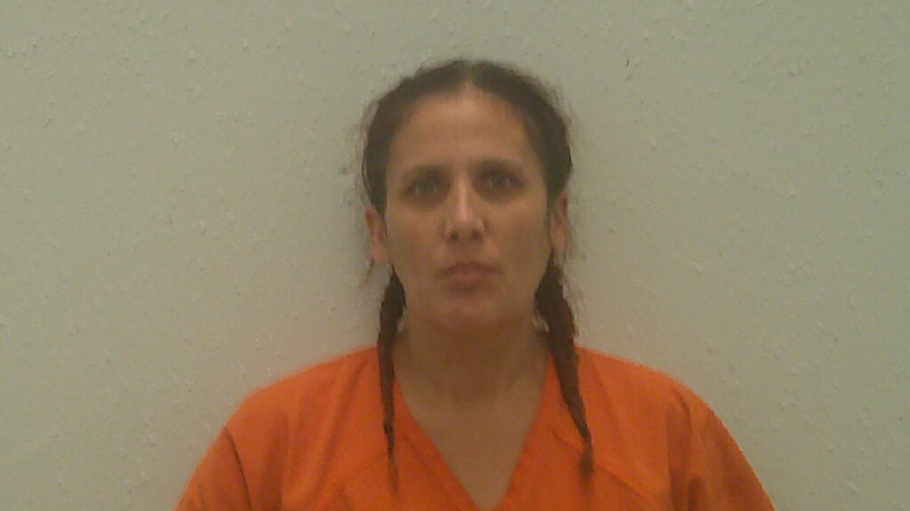 VILLASENOR, RACHEL ANN booking photo