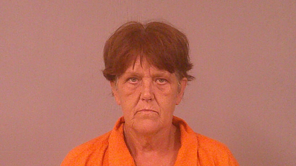 HEWELL, LORI ANN booking photo