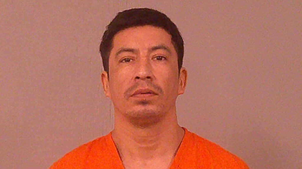 VEGA, BERTIN booking photo