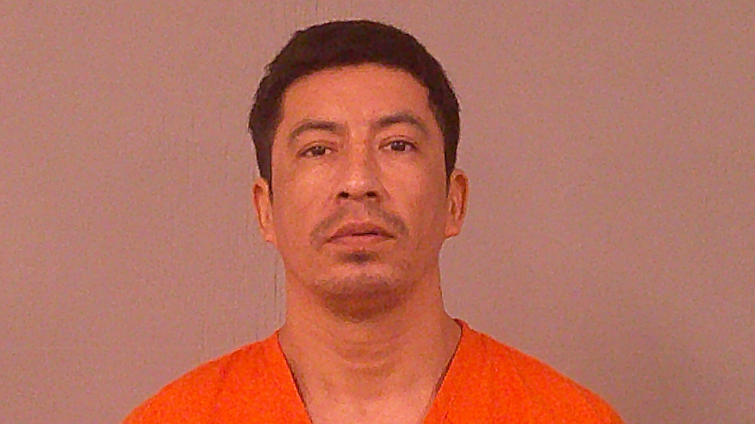 VEGA, BERTIN booking photo