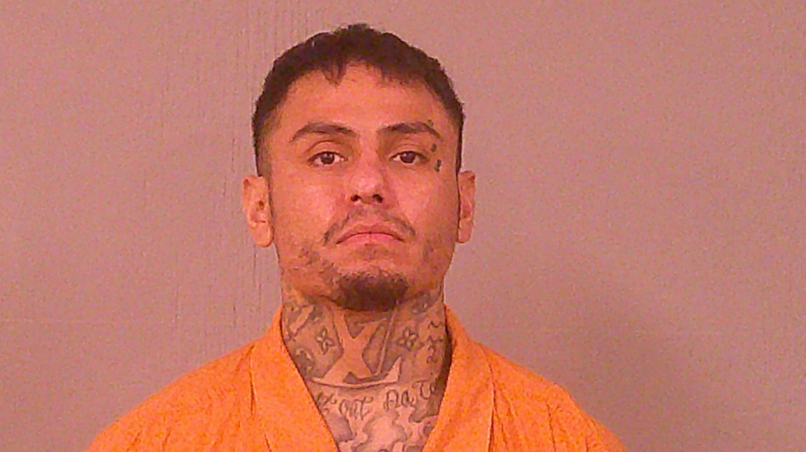 DELGADO, LUIS ANTONIO booking photo