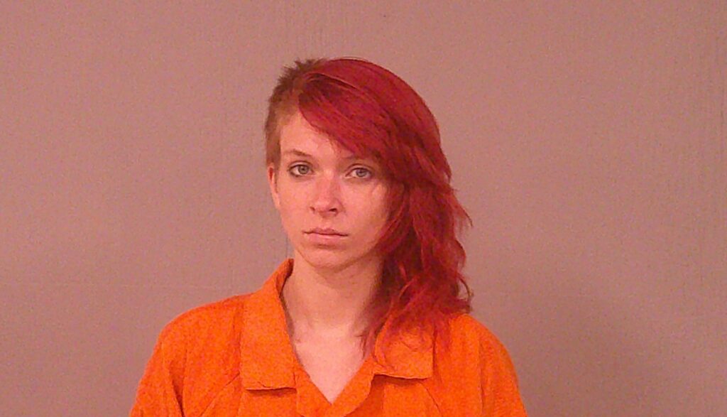 INSCO, ALEYSA DORIS booking photo