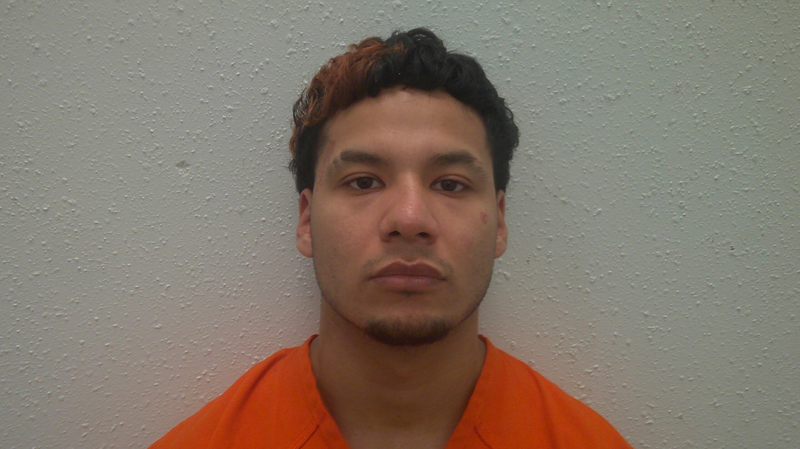 BENITEZ, ELVIS RAY booking photo