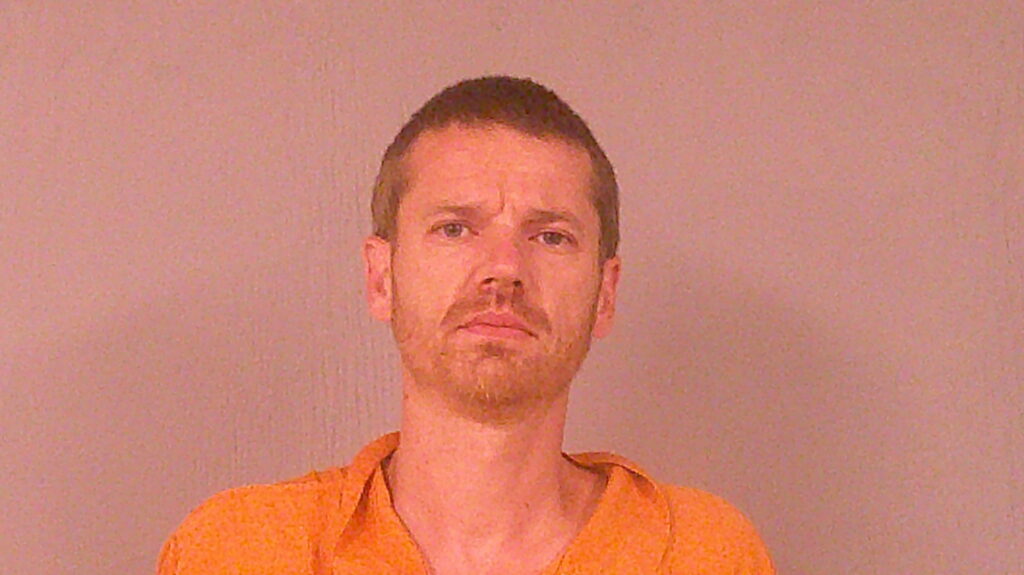 GOLOVIN, PASHA booking photo