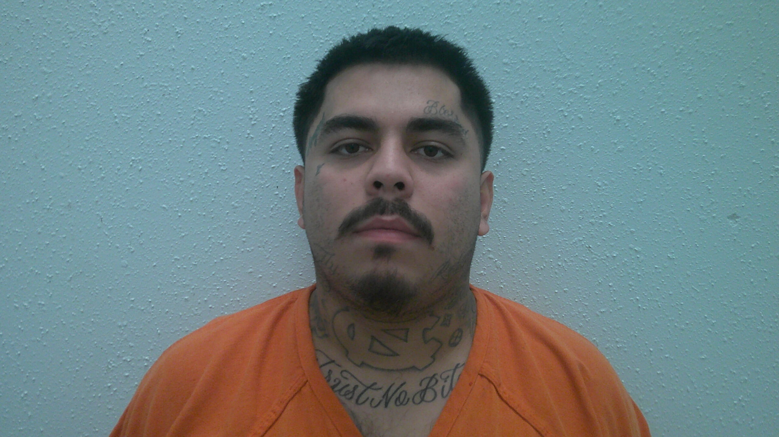 ORTIZ, DAVID booking photo