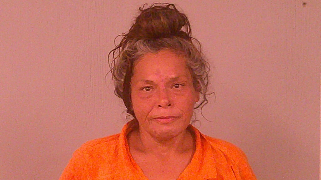 LERMA, ALICE MARIE booking photo