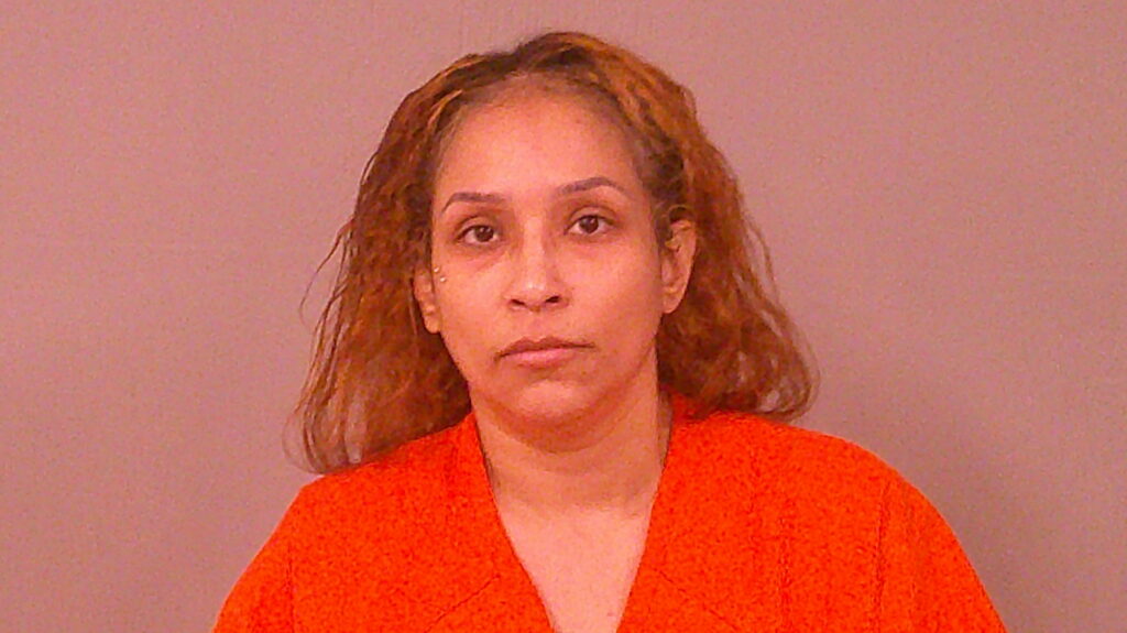 MEDINA, FABIOLA GUERRERO booking photo