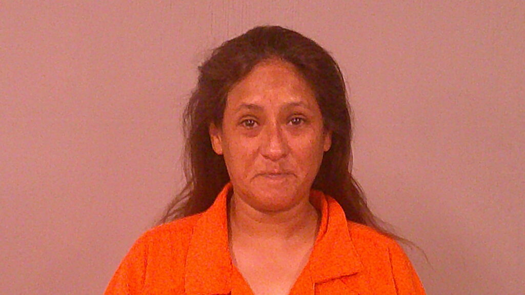 HUERTA, ARMANDA ANNA booking photo