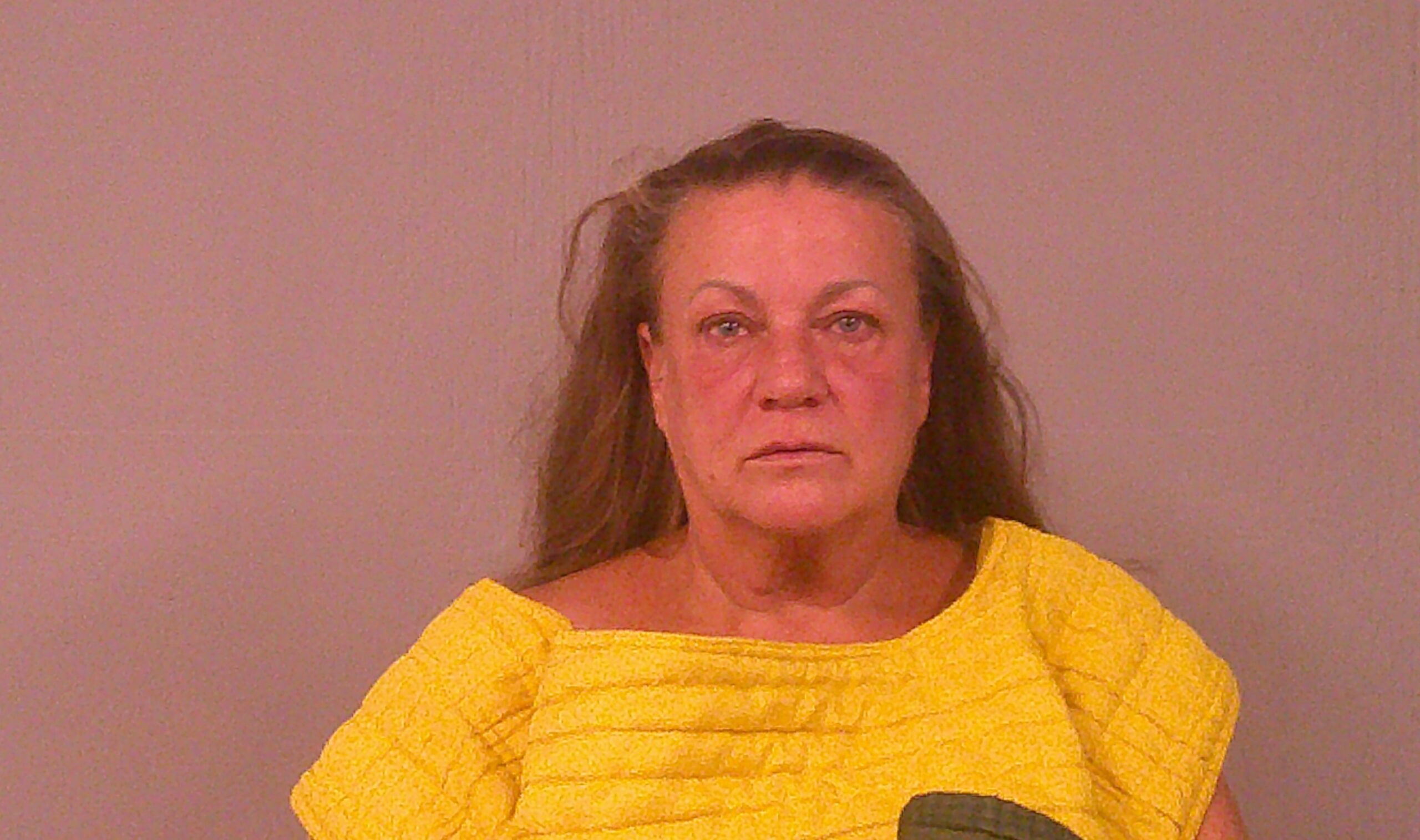OCONNOR, LESA JEAN arrested by Burnet County Sheriff’s Office