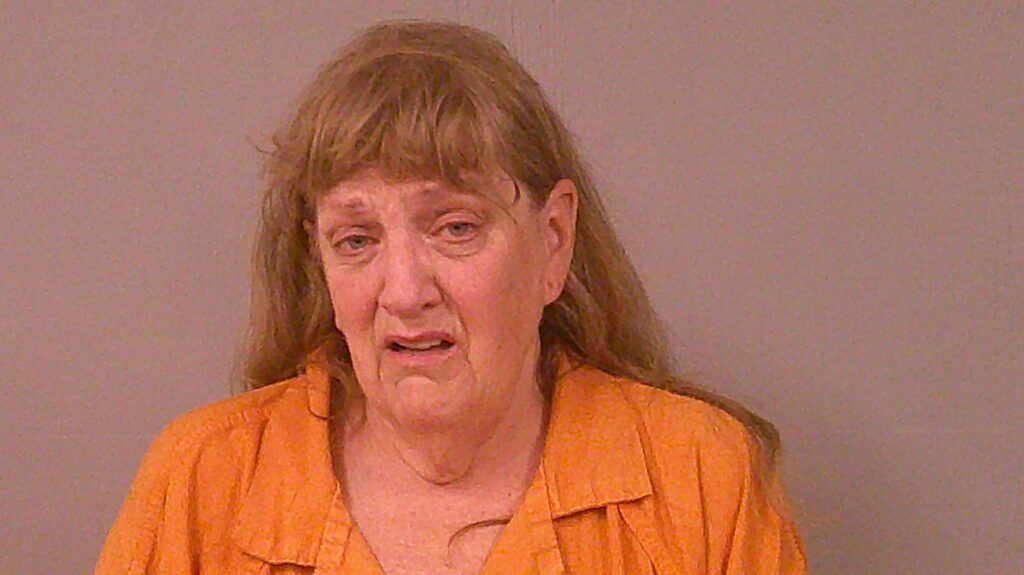 HALE, ELIZABETH ANN booking photo