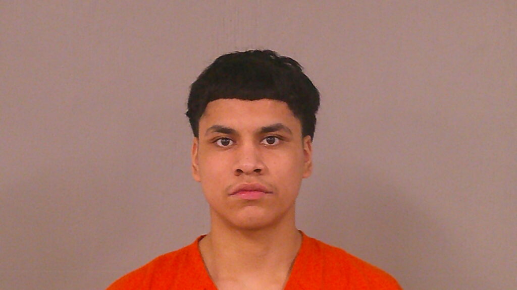 CAMARILLO, RENE, Jr booking photo