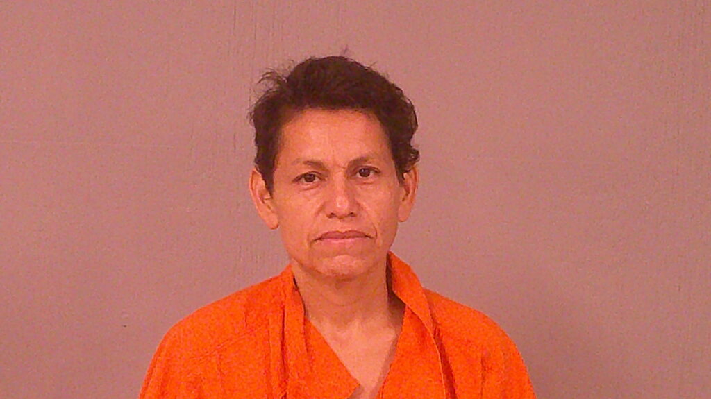 MARTINEZ BRICENO, SUSANA booking photo