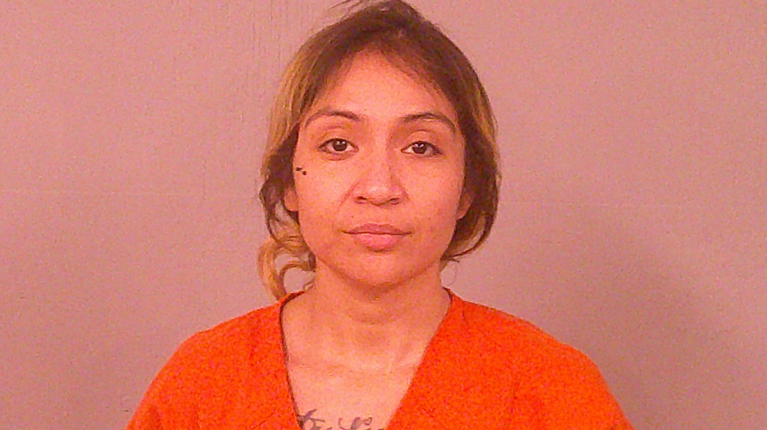 IBARRA, ROSA ANGELA booking photo
