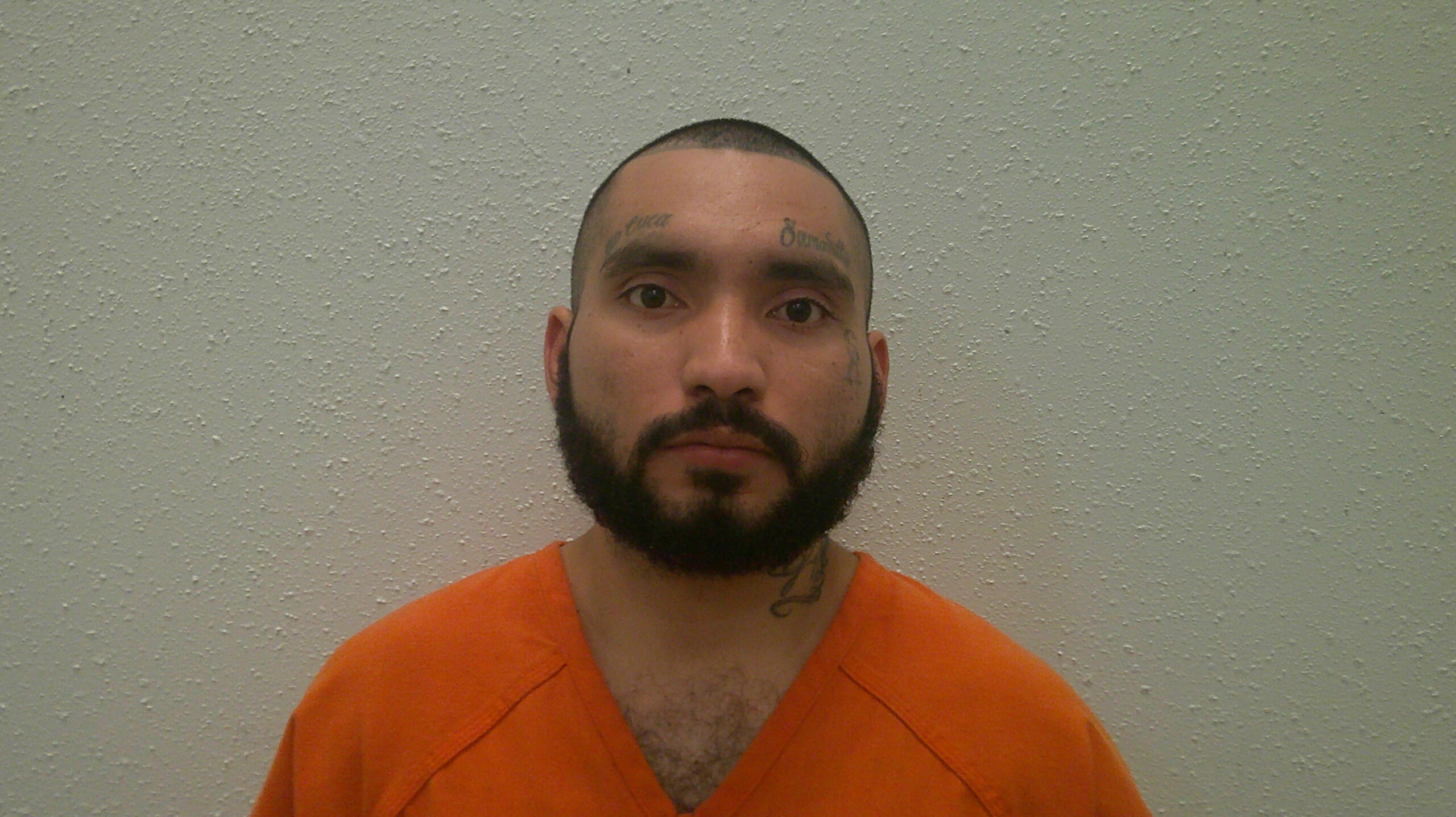 MORALES, JOSE JR booking photo